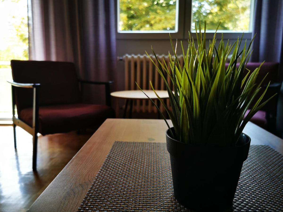 !promo! Blue Amber Downtown-free Private Garage-fast Wi-fi Apartament